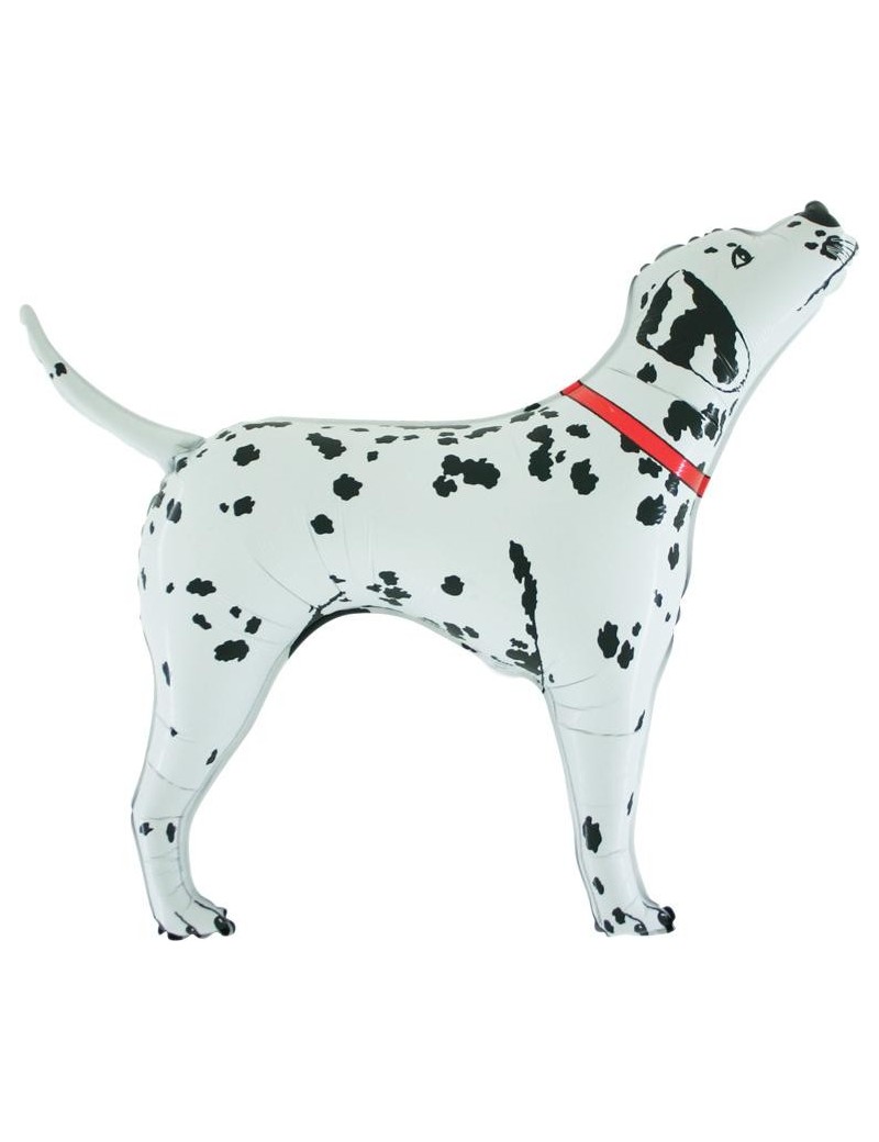 Palloncino Dalmata Bingo