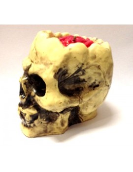 Candela Teschio Grande