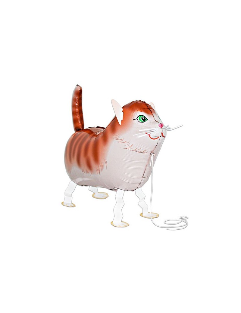 Palloncino Gatto Pet Walker