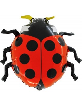 Palloncino Coccinella