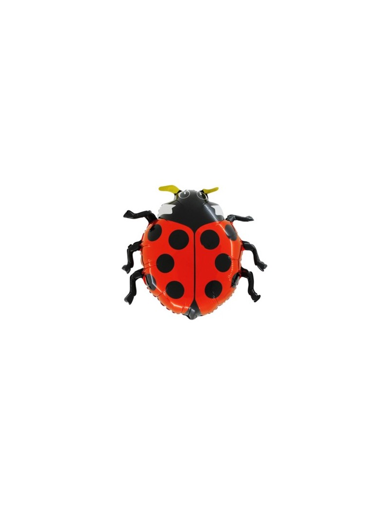 Mini Palloncino Coccinella