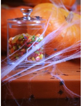 Ragnatela Bianca Halloween