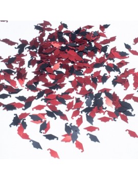 Confetti Decorativi Laurea Tocco