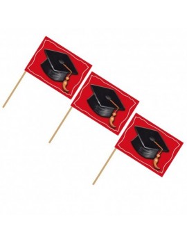 Picks Bandierina Laurea