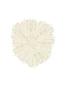 Palloncino Modellabile Bianco (50pz)