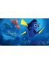 Dory